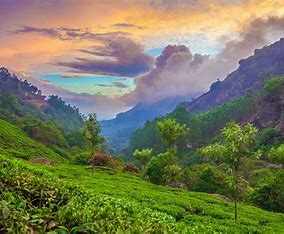 Munnar