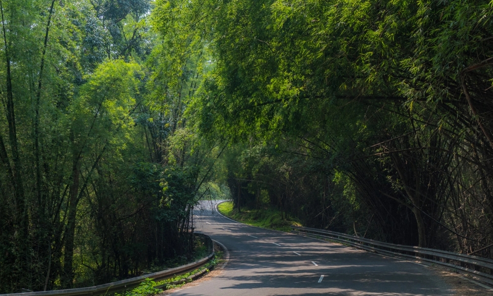 Kerala 3