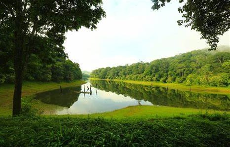 thekkady